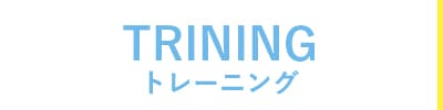 トレーニングカテゴリ